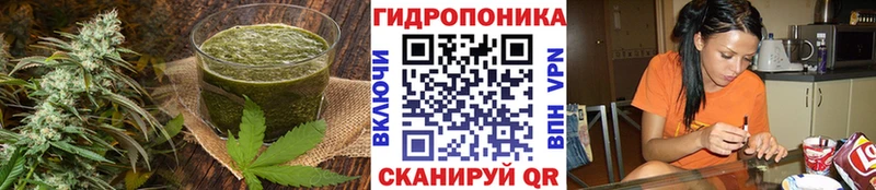 где можно купить Электросталь Cannafood марихуана