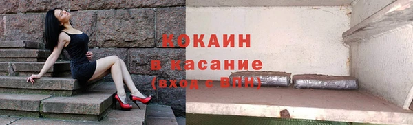 гашик Михайловск