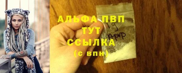 гашик Михайловск