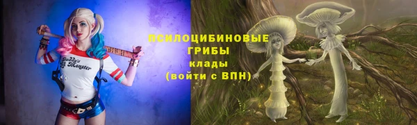 гашик Михайловск