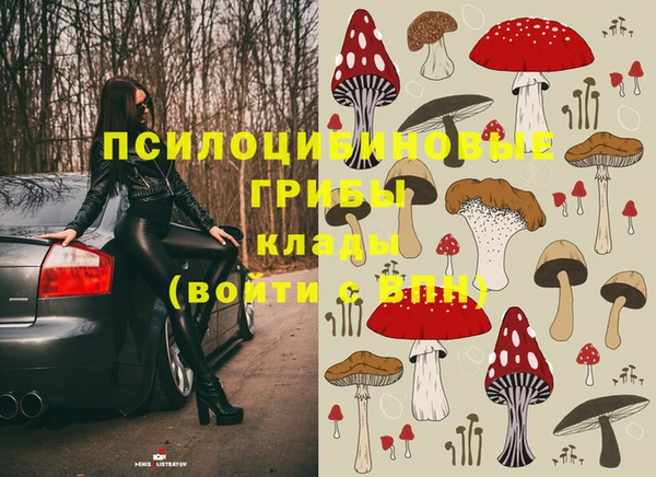 spice Михайловка