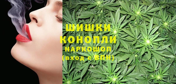 гашик Михайловск