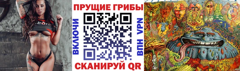 Псилоцибиновые грибы Cubensis  Электросталь 