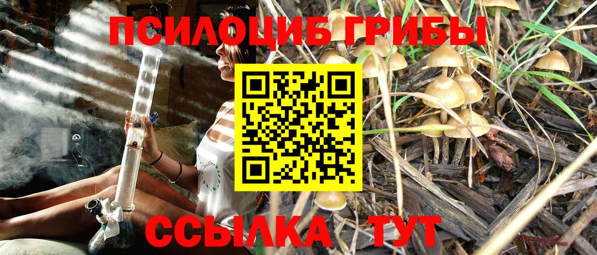 Псилоцибиновые грибы MAGIC MUSHROOMS  Псилоцибиновые грибы GOLDEN TEACHER  Электросталь 